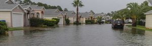 Hurricane Damage